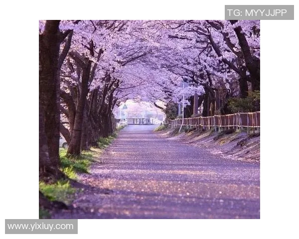 萨林杰：探索文学与人生的深邃交织与心灵的孤独旅程