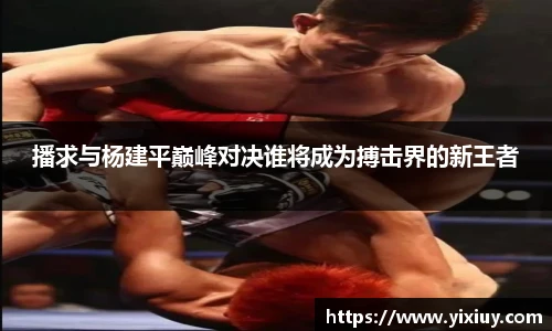 播求与杨建平巅峰对决谁将成为搏击界的新王者