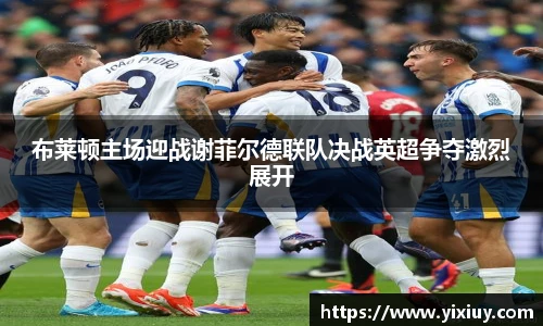 XC体育官方网站